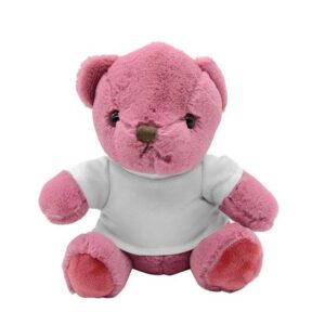 TEDDY BEAR WITH T-SHIRT